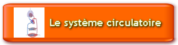 Le système circulatoire