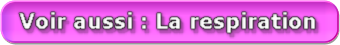 La respiration